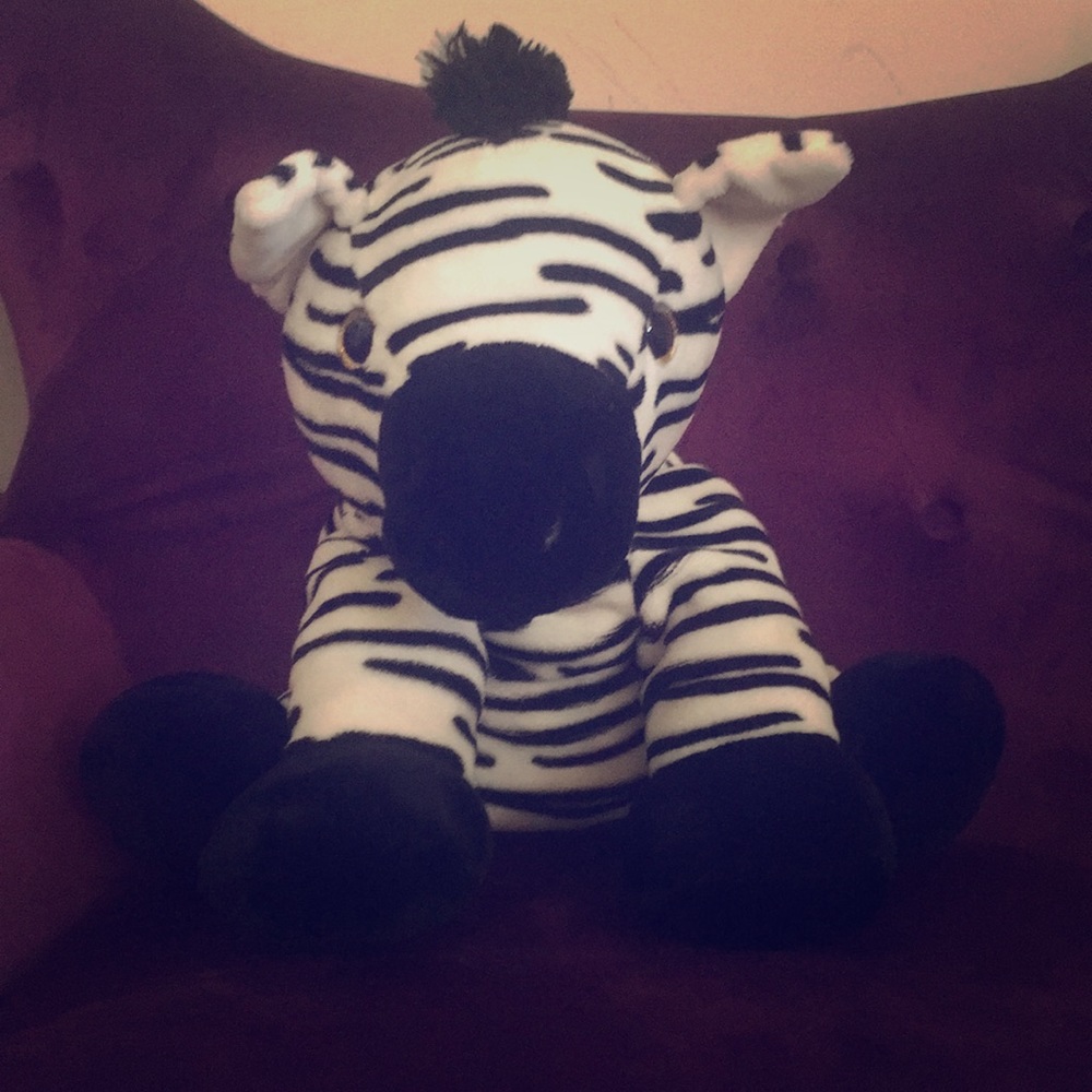A cute giraffe